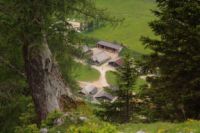 2015-06-25_05Drijaggenalm (235).JPG